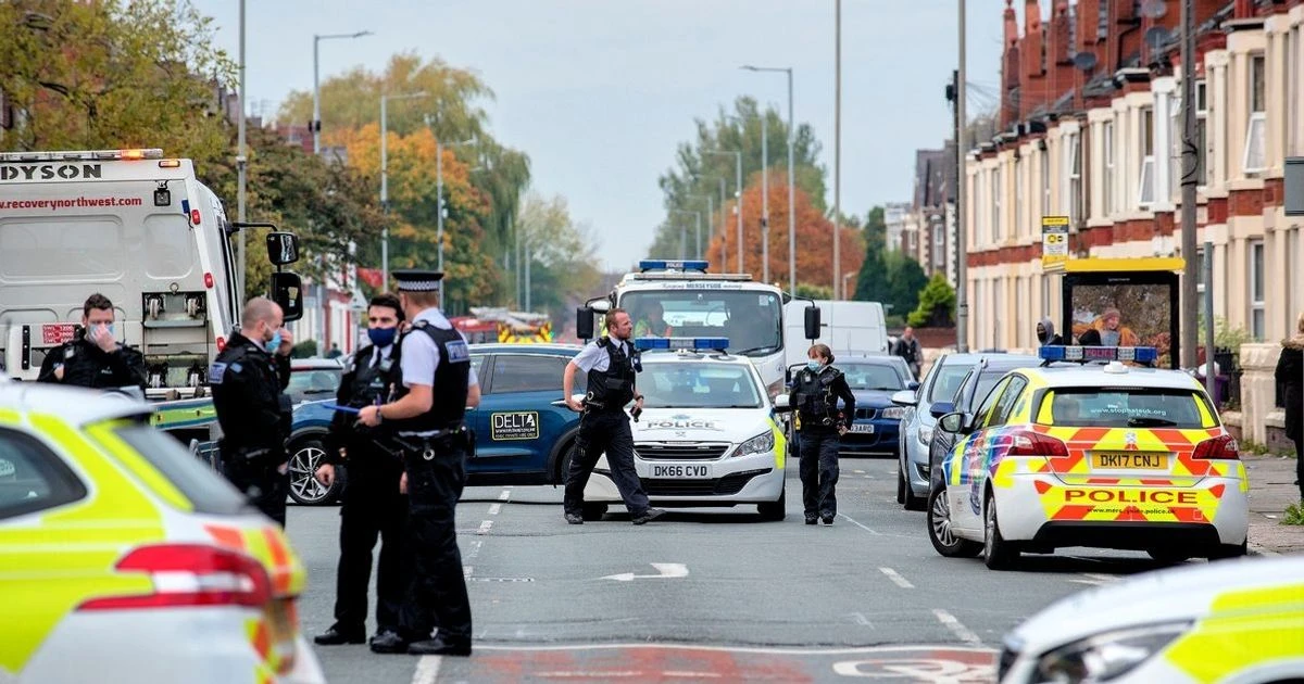 Armed men 'storm into home and steal bulldogs in front of residents in robbery'