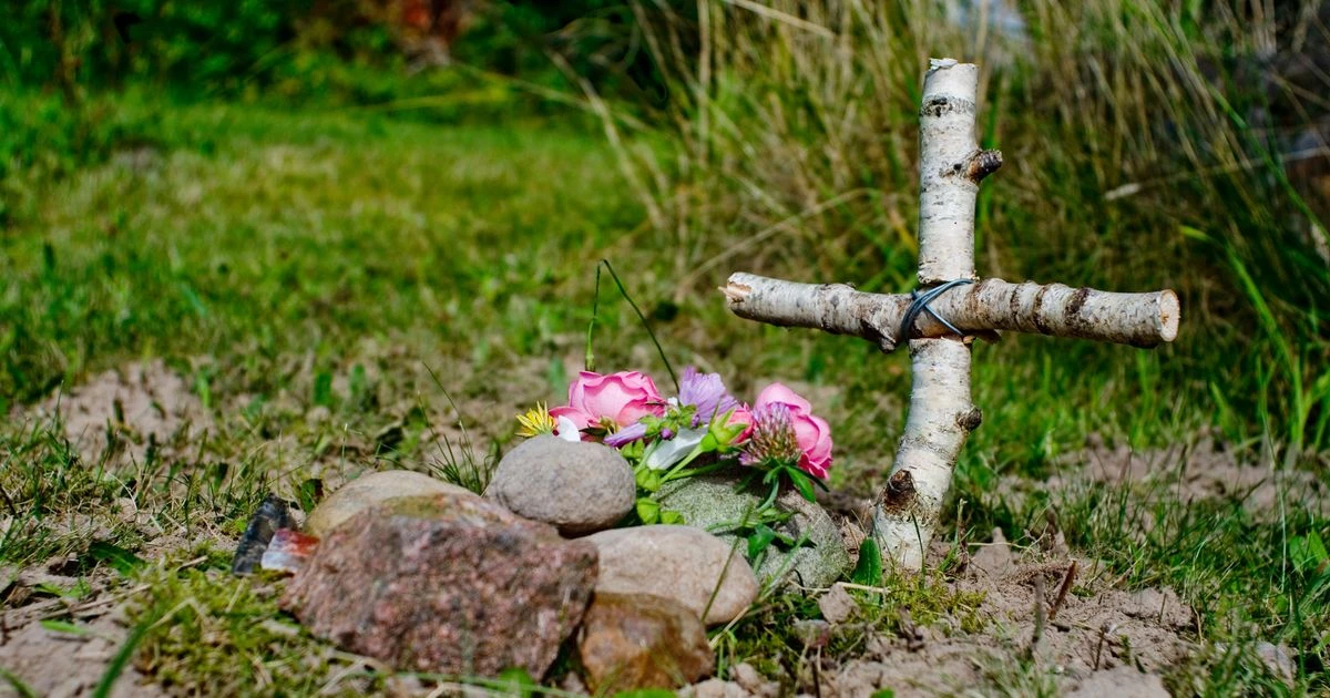 Son's horror after mum buries wrong pet in garden thinking it was their cat
