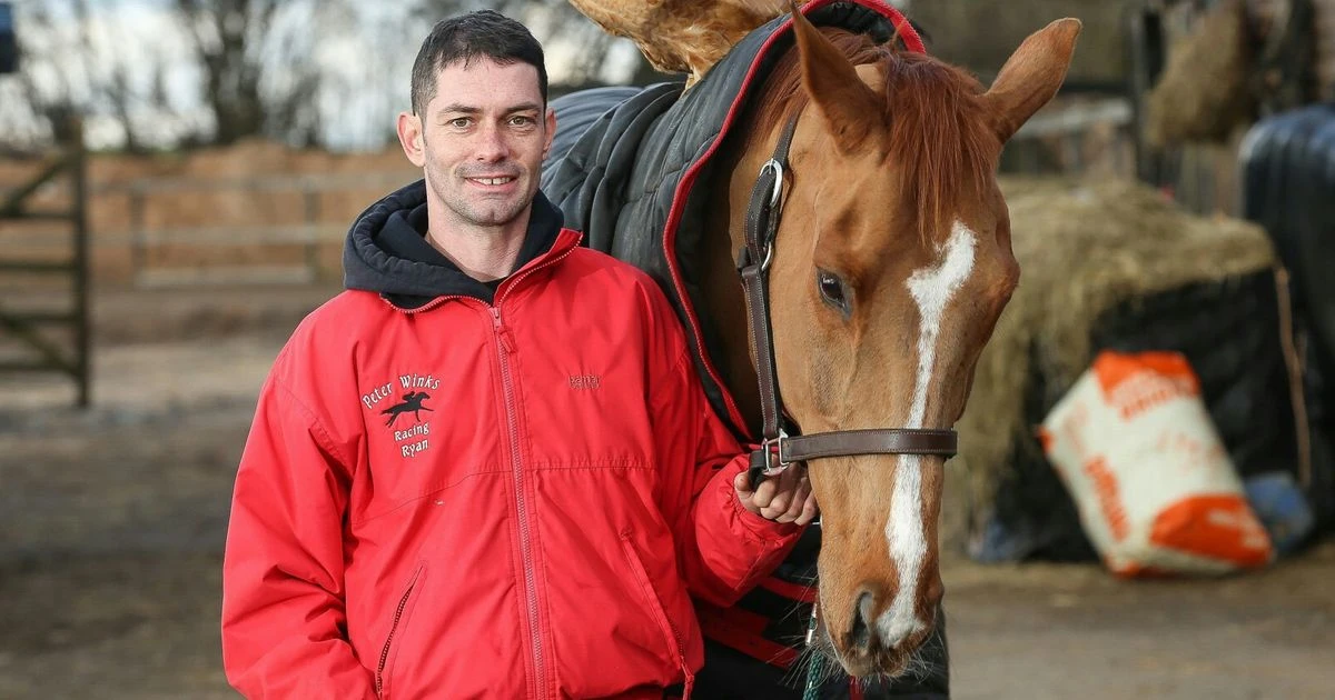 Jockey Ryan Winks banned for placing nearly 800 bets on racing including horses he rode