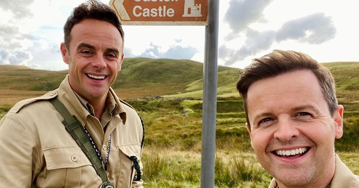 I'm A Celebrity's Dingo Dollar phone box arrives in Wales as Gwrych Castle transformed
