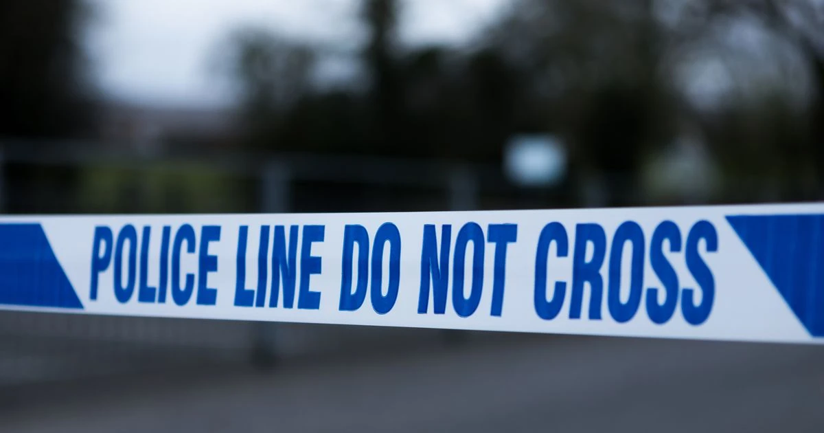 Corhampton crash: Two boys, 16 and 17, killed after car smashes into tree