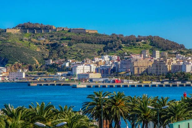 Pensioner 'becomes latest British drug mule' as he attempts to smuggle dugs into Spain