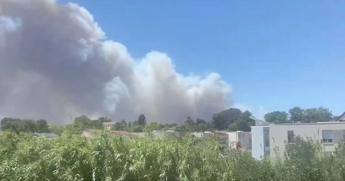 LiveMarseille fire LIVE: Airport closed after blaze causes plume of smoke across city