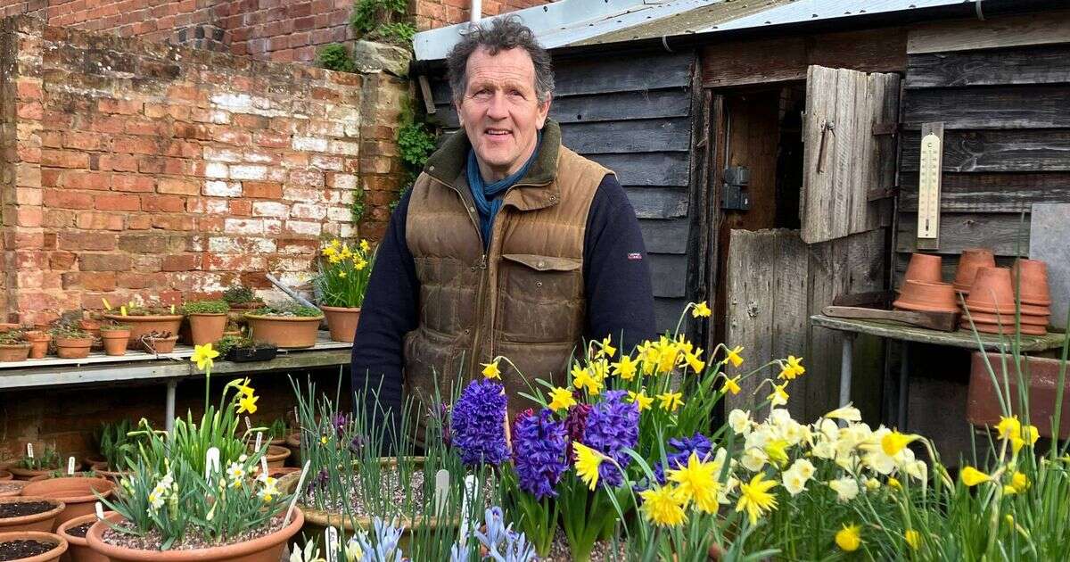 Monty Don's Boxing Day ritual all gardeners need to follow - or regret it