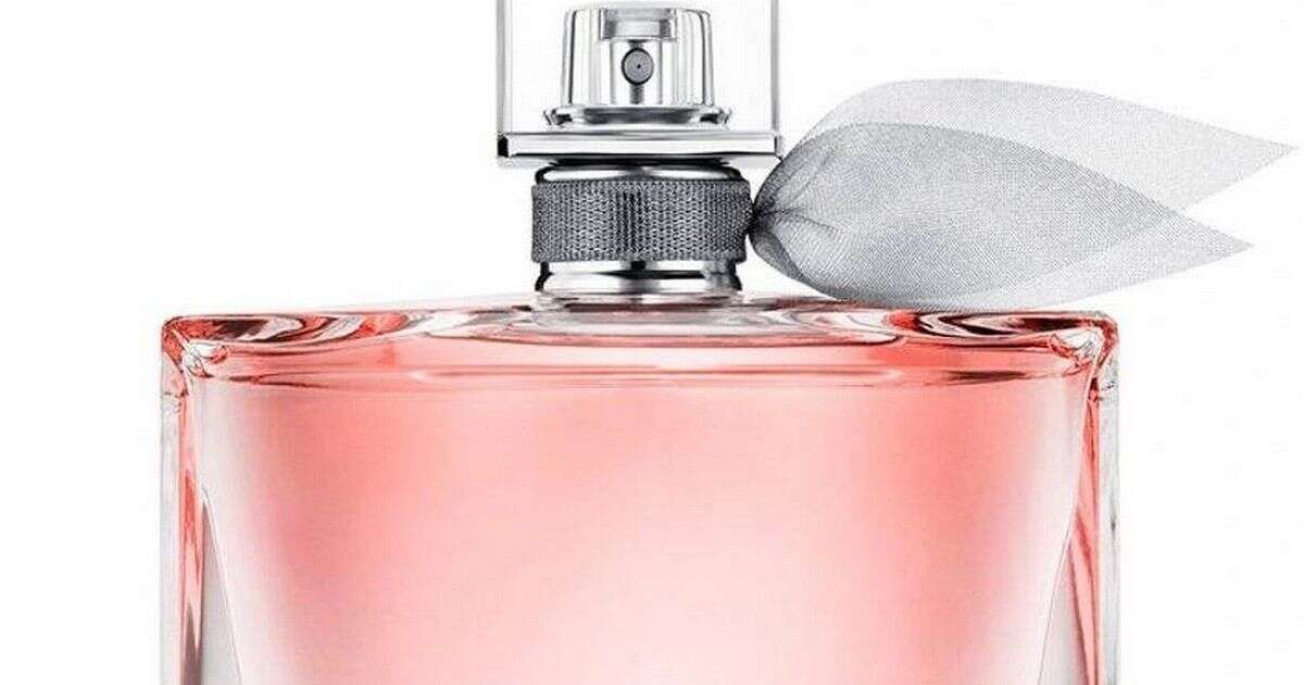 Shoppers who swear by 'head turning' perfume rush to buy it at 'no brainer' price