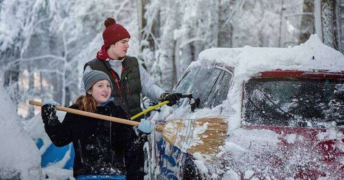 UK drivers issued important reminder as temperatures hit below freezing