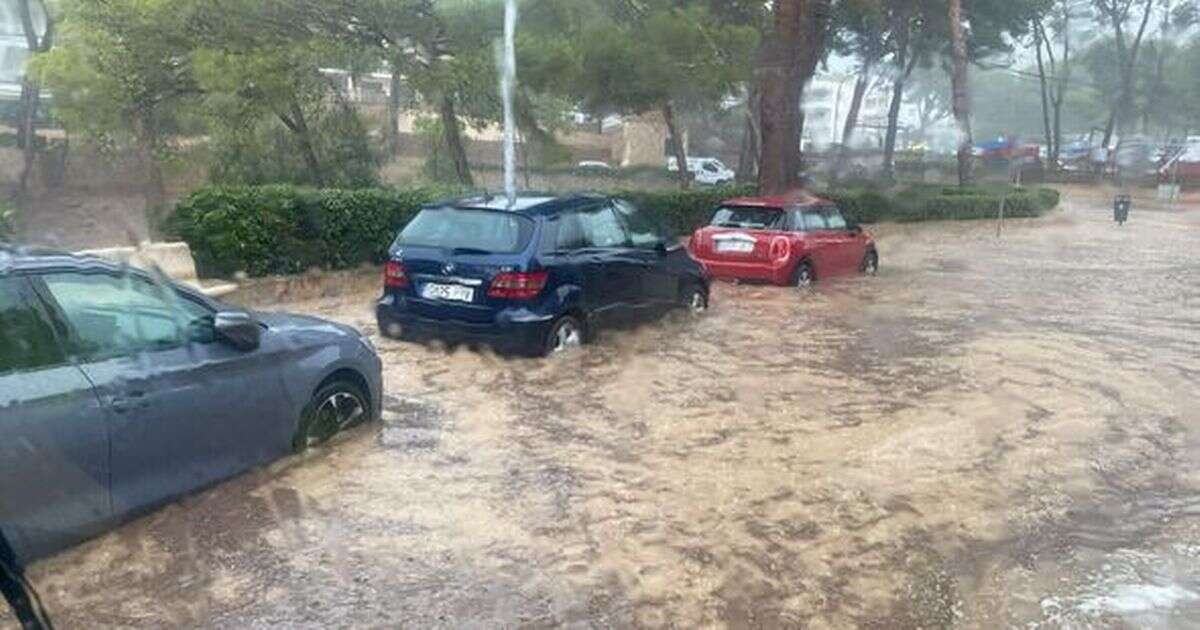 Majorca hit by severe weather warning as storm sparks airport chaos and floods townSpain