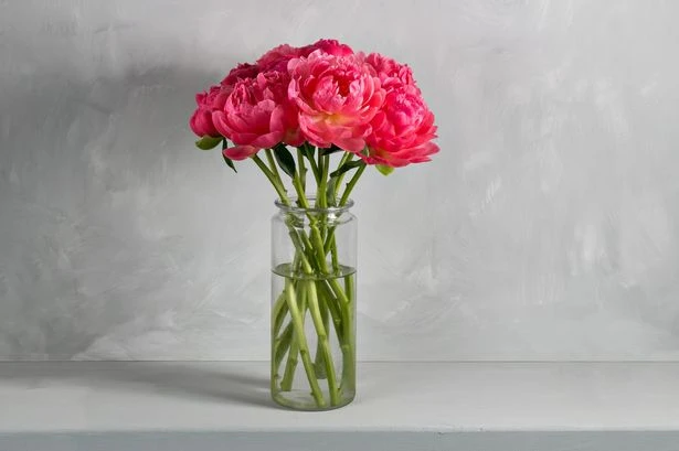 Two everyday items that will keep your flowers alive and blooming longer