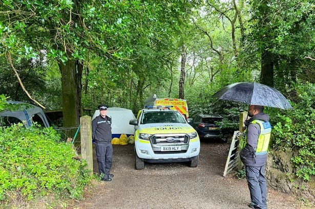 Detective denies claims by PCC that multiple bodies have been found in woods