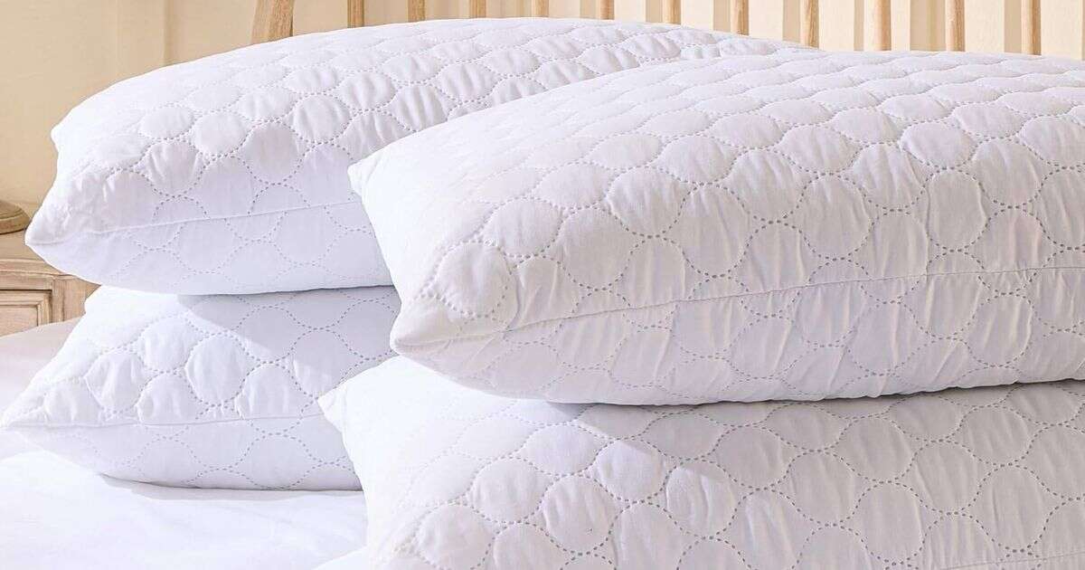 'Luxury at a small price' hotel-quality pillows slashed to under £23