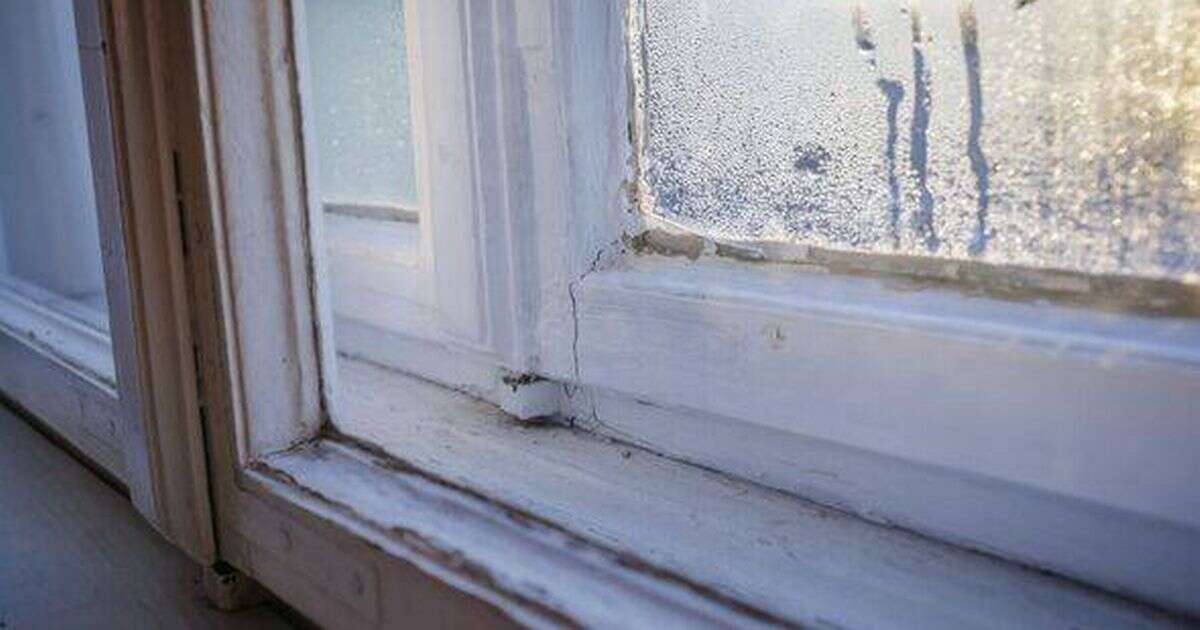 Banish condensation with kitchen staple - as woman finds it 'really works'