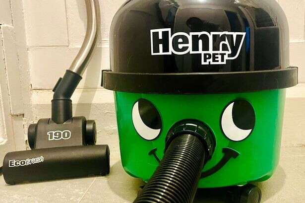 My carpets look brand new thanks to the powerful Henry Pet vacuum - it's the best purchases I made in 2024