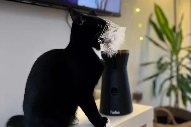 Pet owners can get 'Rolls Royce of cameras' for half price in Amazon Prime Day sale