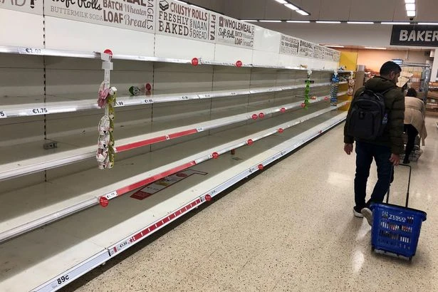 Warning over tinned tomato shortage hitting UK with suppliers introducing rationing