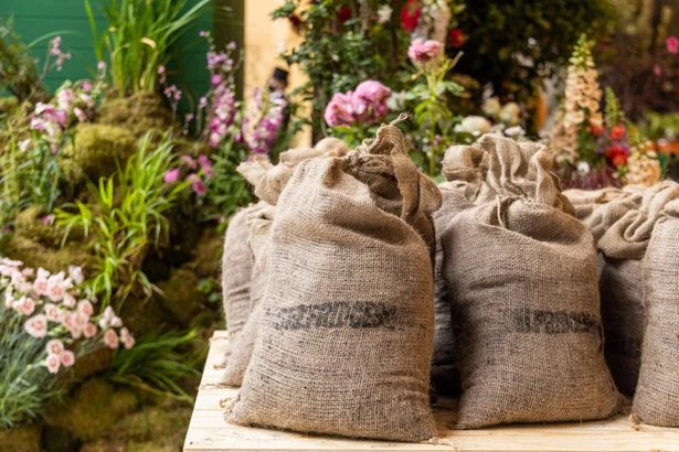 Selfridges is now selling dirt at its Birmingham store