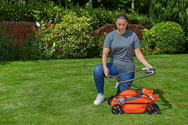 'Beast' Flymo lawnmower cuts through grass and weeds 'like butter'