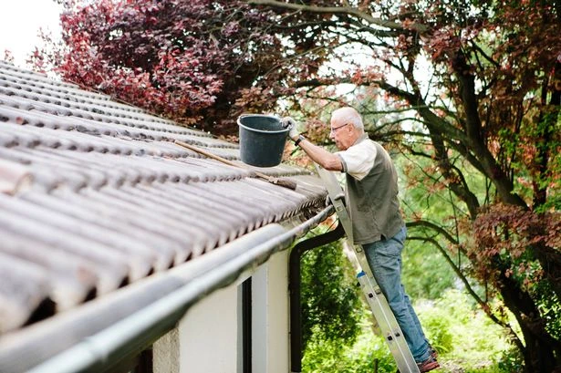Home insurance warning over autumn mistakes that could invalidate your policy