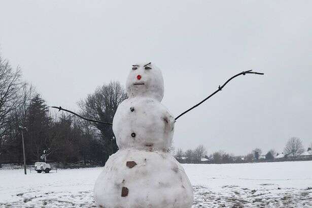 Grandparent 'disgusted' by 7ft snowman after closer look at 'very realistic' ice pop