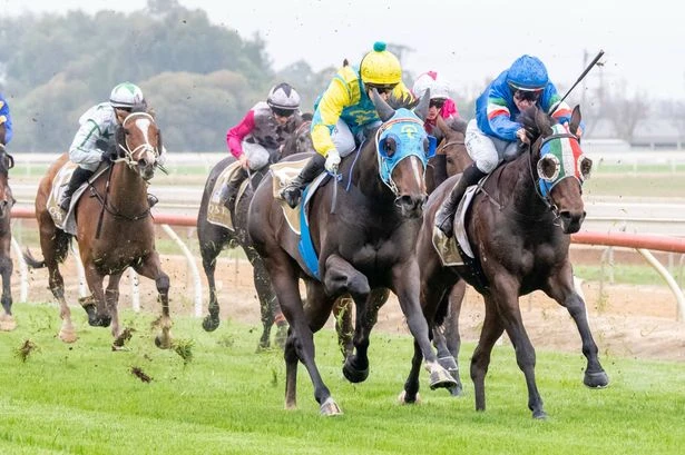 Horse racing chaos as heatwave sees events abandoned – full list
