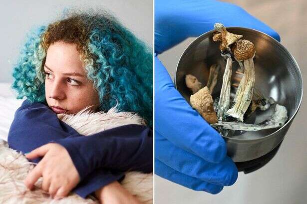 Magic mushrooms 'cure body worries' and could be used to treat patients