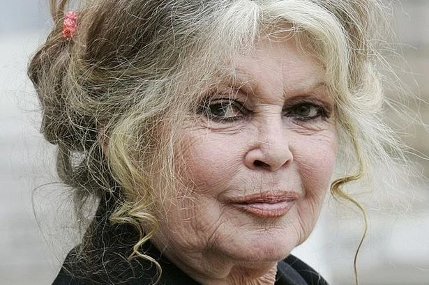 BREAKING Brigitte Bardot, 91, rushed to hospital after suffering from 'serious illness'