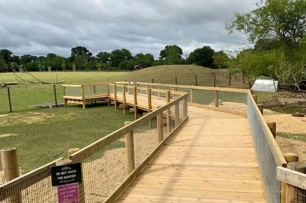 Boy, 3, 'thrown into crocodile enclosure' at UK zoo as 30-year-old man arrested