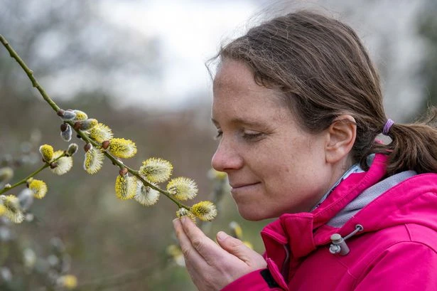 'I missed my brother's wedding because of Hay Fever'