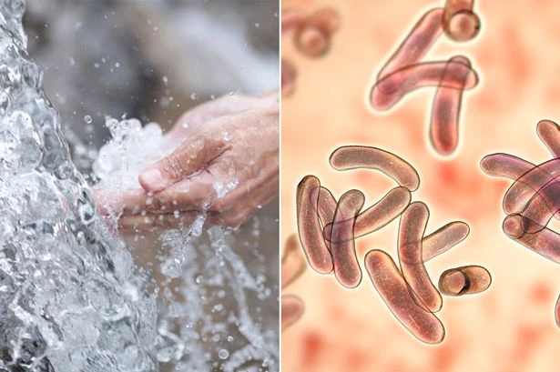 Holy water from Ethiopian well almost causes cholera outbreak in Europe