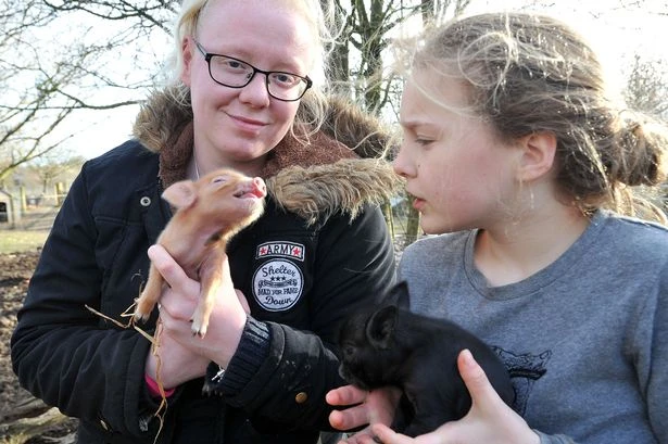 Britain’s best animal-themed attractions and win a family day out at them