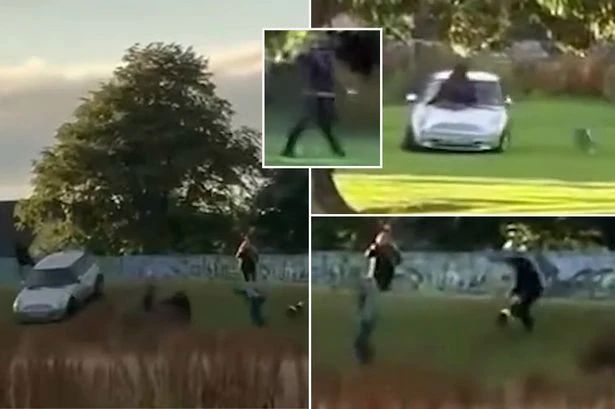 Machete gangs hack at each other as XL Bully killed before Mini driver mows down enemy