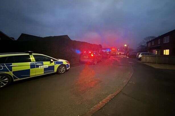 Man tragically found dead at home after freak greenhouse inferno