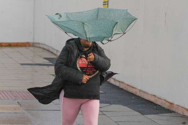 The RAC is asking Christmas drivers if their journeys are necessary as gusts of 80mph expected