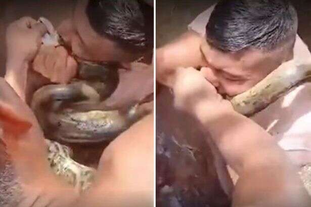 Fearless bloke bites anaconda after massive beast attacks him in a river