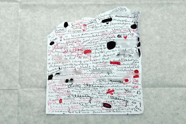 Lucy Letby's 'secret code' in diary and reason experts say she might be innocent