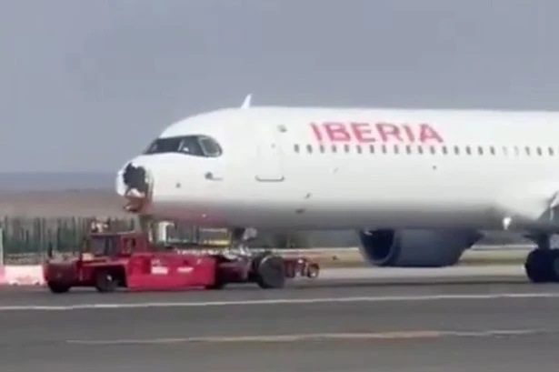 Plane makes emergency landing after midair collision leaves passengers terrified