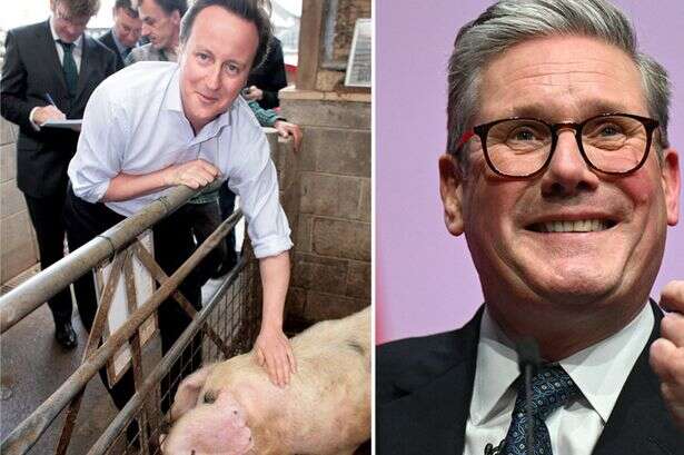 Inside politicians' 'pork curse' – 'return of the sausages', piggate and bacon sarnie