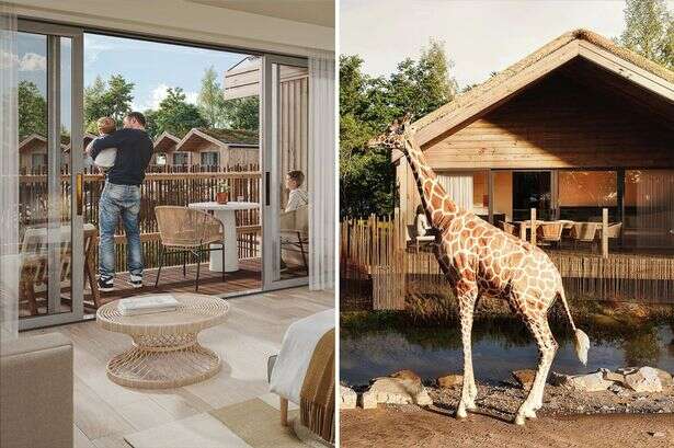 You having a giraffe? Price of Chester Zoo safari lodge for one night left us speechless