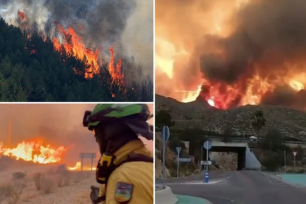 More Brits feared dead trying to flee devastating Los Gallardos wildfire as 12 perish