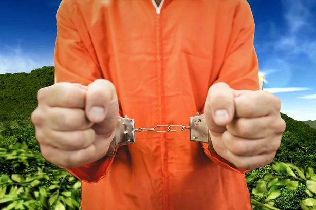 I’m a Celebrity-style scheme launched for prisoners as lags compete for extra money