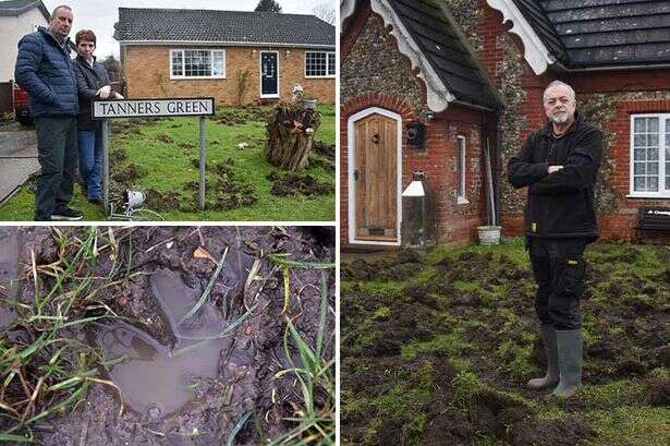 Rogue pigs wreak havoc in 'terrorised' quaint village following great farm escape