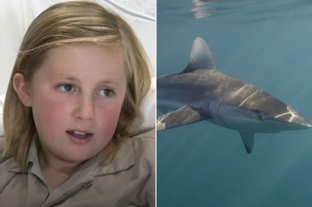Shark attack victim, 10, recalls moment he was bitten after ominous shadow appeared