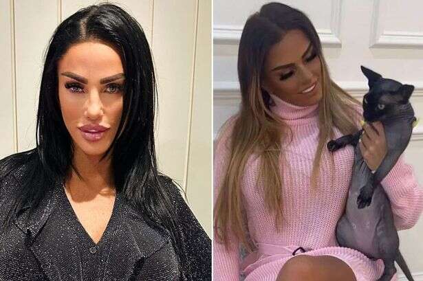 Katie Price says she's 'lost' cat Hagrid after spending £4k on feline friends