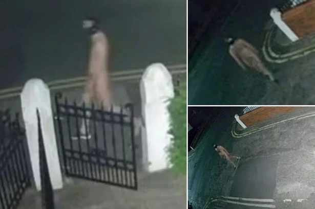 Mystery naked 'Gimp Man' on the loose as UK police launch urgent hunt