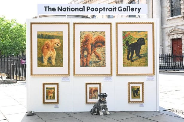 Doggy themed ‘National Pooptrait Gallery’ pops up in London