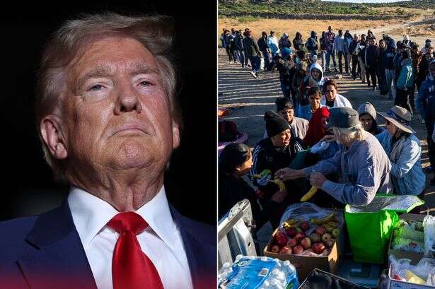 Trump proves 'illegal aliens eating our pets' nonsense was all about deportation