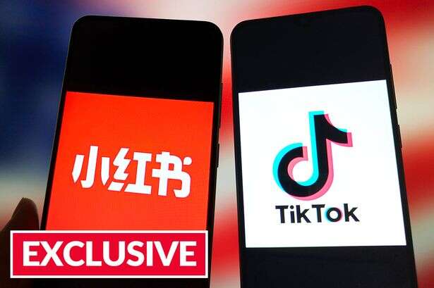 TikTok 'refugees' flock to Rednote as experts warn Chinese app could suffer same fate