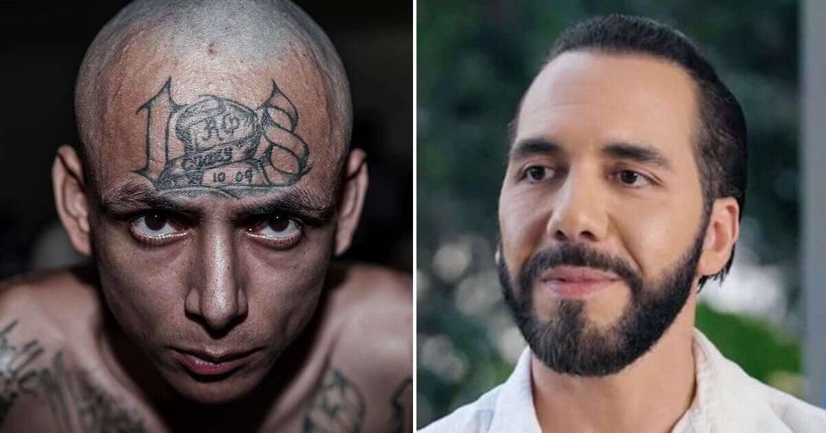 MS-13 gang carry out 'satanic child sacrifice', El Salvador's president says