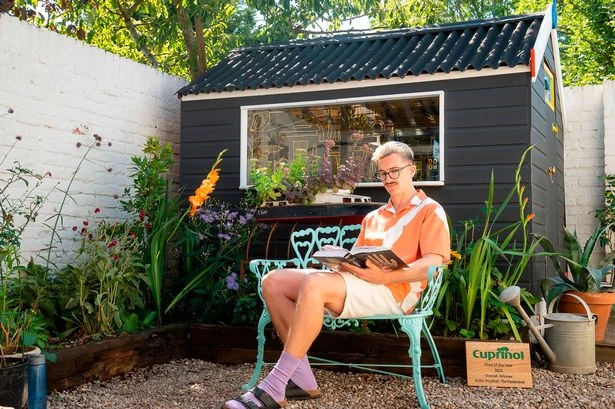 Shed lovers clearing out tools to turn backyard outbuildings into wellness retreats