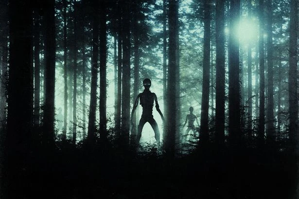 Boris Becker's lawyer to release bombshell book claiming aliens ‘co-existing with us’