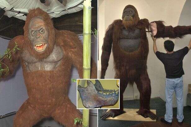 The 'real' Bigfoot is 10ft tall and weighs 47 stone – but you'll never see him